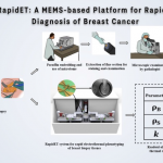 RapidET: A Mems-Based Platform for Rapid Diagnosis of Breast Cancer