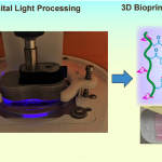 3D Bioprinting of Tissues Using Natural Biomolecules