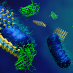 Using Nanosheets to Identify Bacterial Strain and Drug Resistance