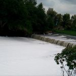 Factors fomenting Bellandur lake’s infamous foam