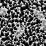 Tent-like Nanopillars to Rupture Bacteria