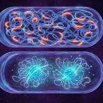 How Mtb Safeguards Itself from Foreign DNA