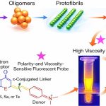 Fluorescent Molecules Could Throw Light on Alzheimer’s